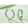 Cirle Moissanite Earrings Hoop Earrings