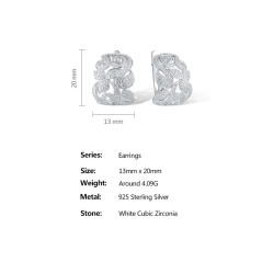 Gold plated  Sterling Silver Sparkling white zircon Earring